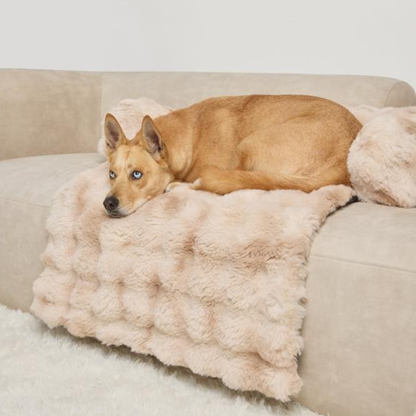 Couch Cover Sofa Bed for Pets