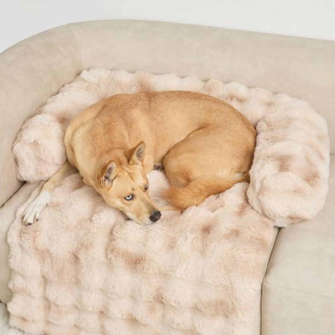 Couch Cover Sofa Bed for Pets