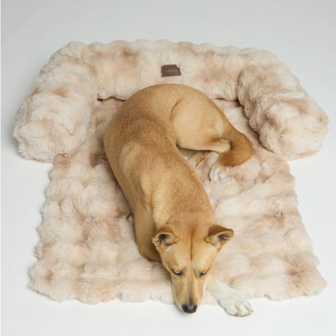 Couch Cover Sofa Bed for Pets
